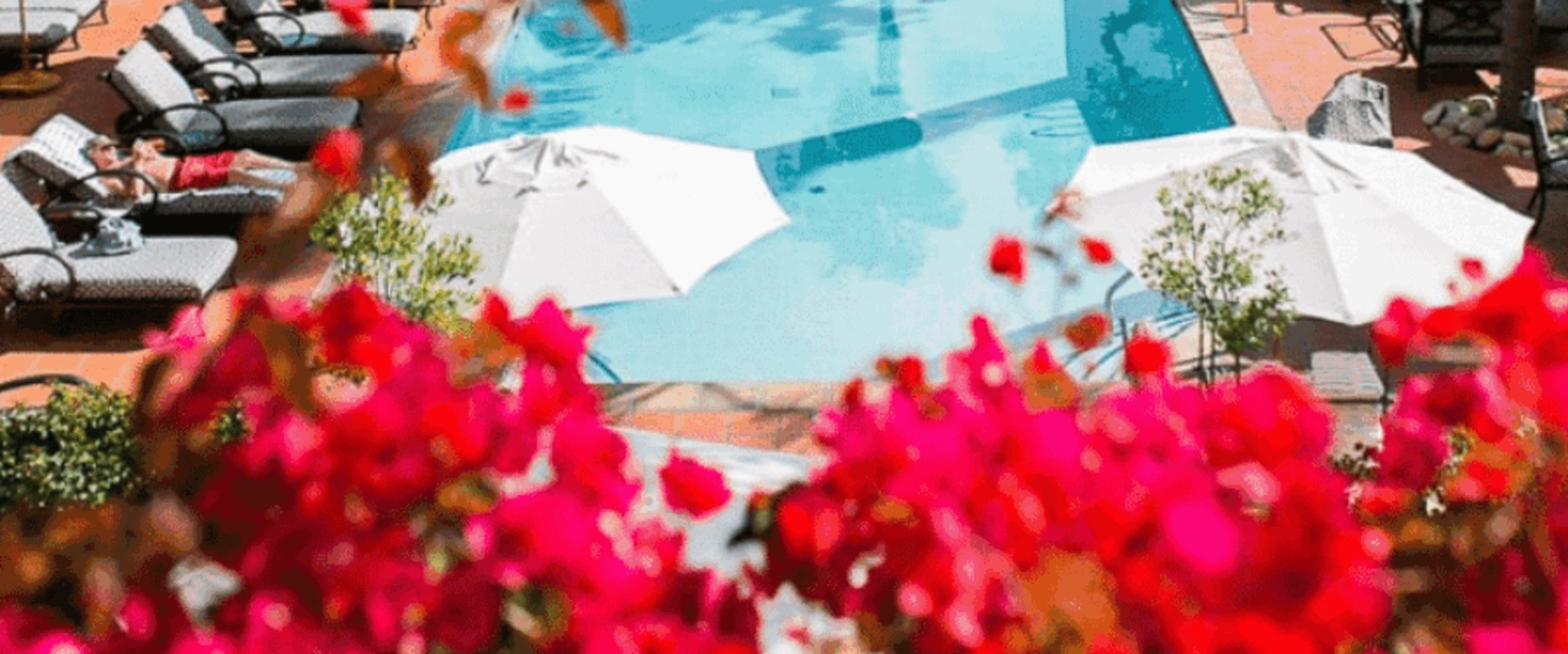 Exploring Health and Wellness Seminars in La Jolla