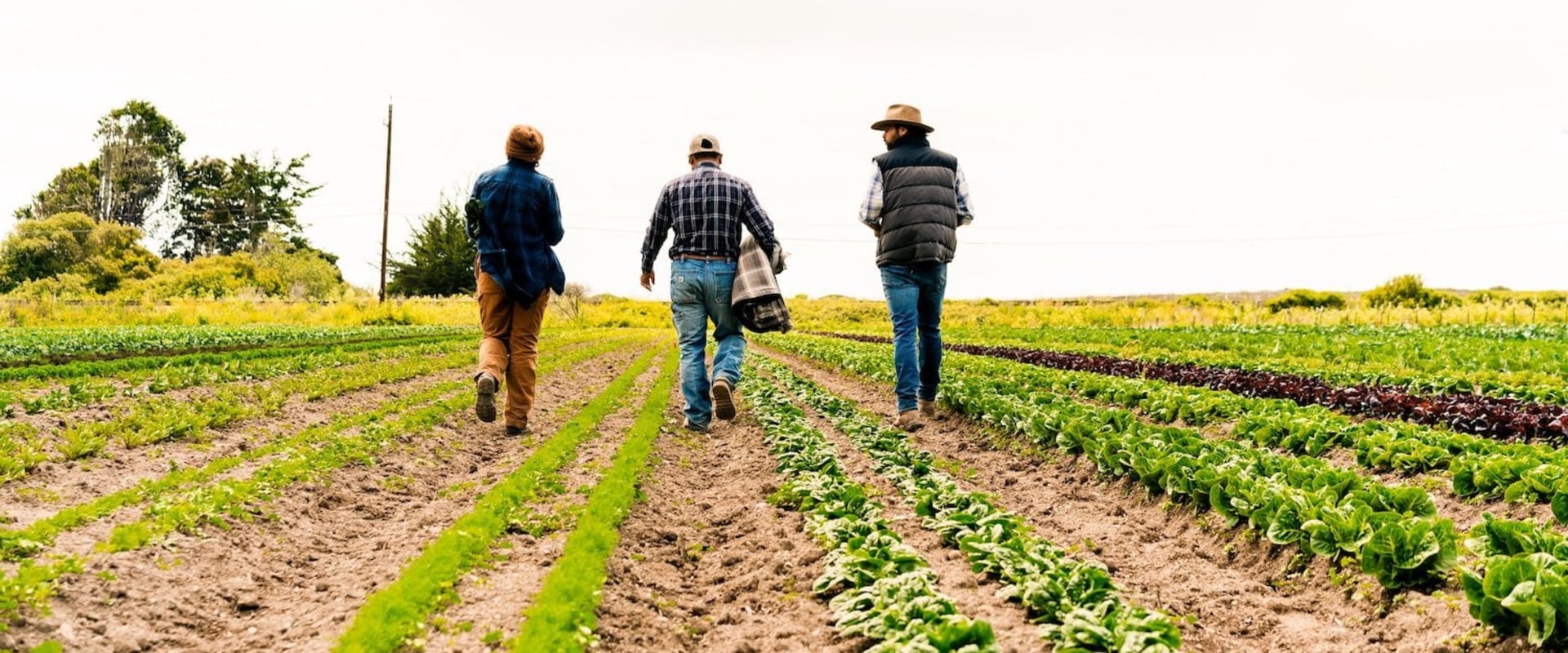 The Influence of Climate on Local Agriculture in La Jolla