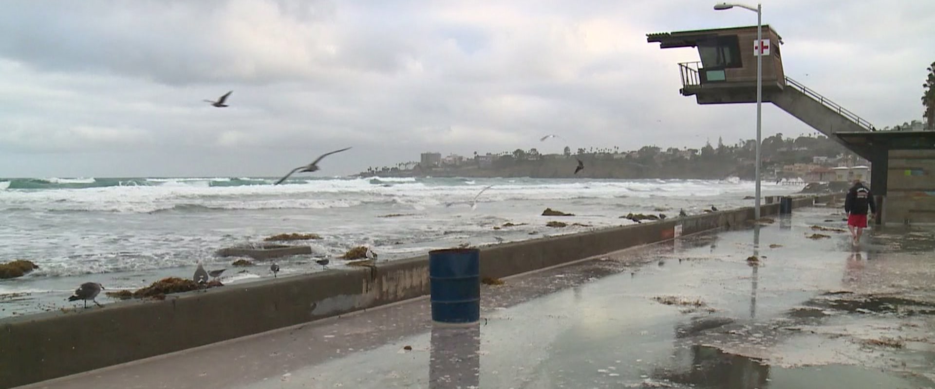 Understanding Flood Alerts in La Jolla