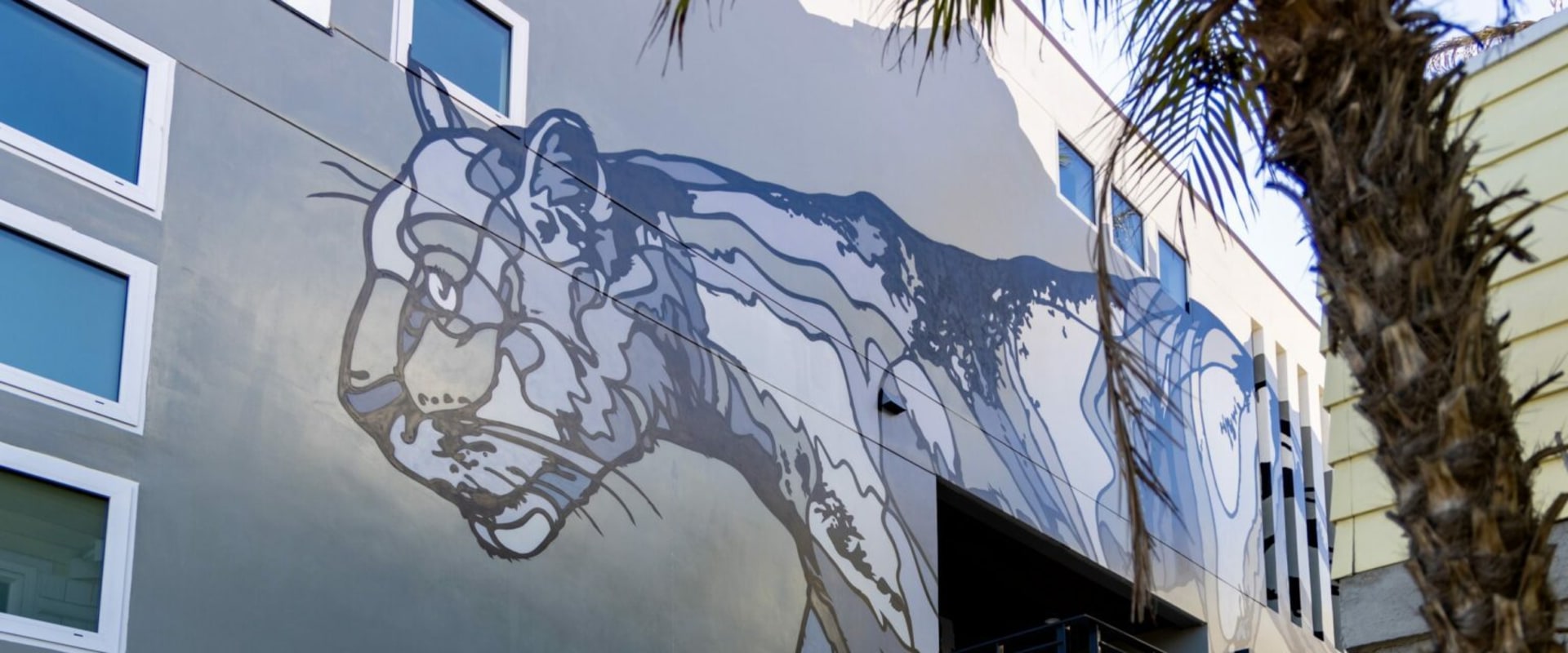 Exploring the Vibrant Community Art Projects in La Jolla