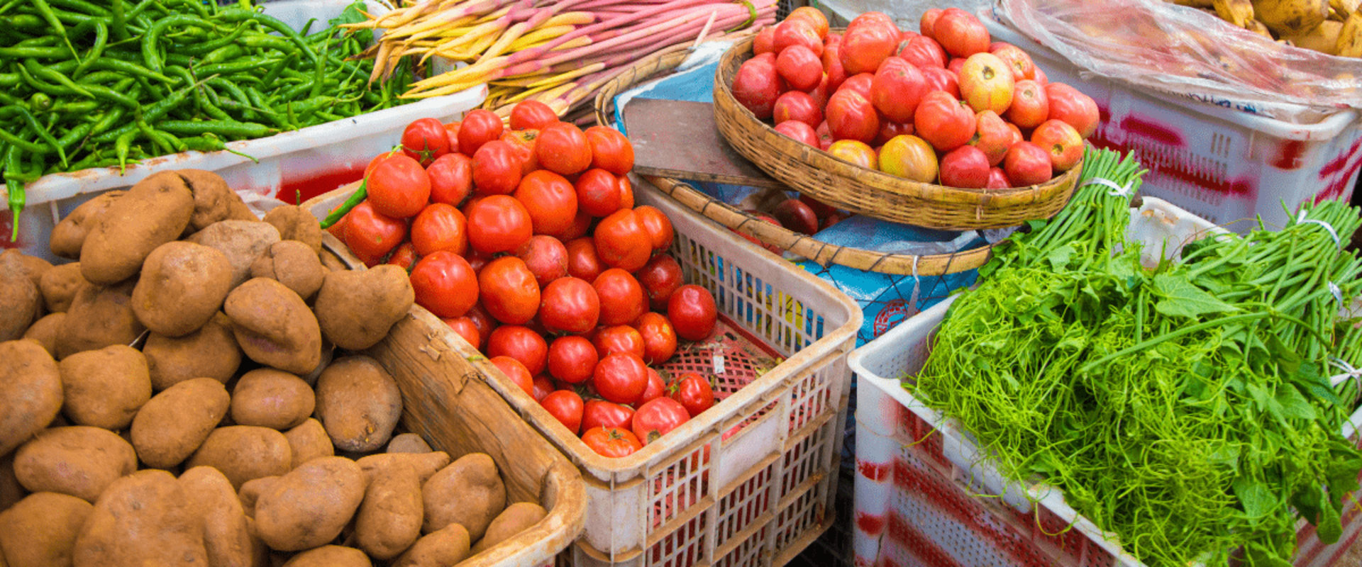 La Jolla Farmers Market Guide 2026: Vendors Schedule and What to Expect