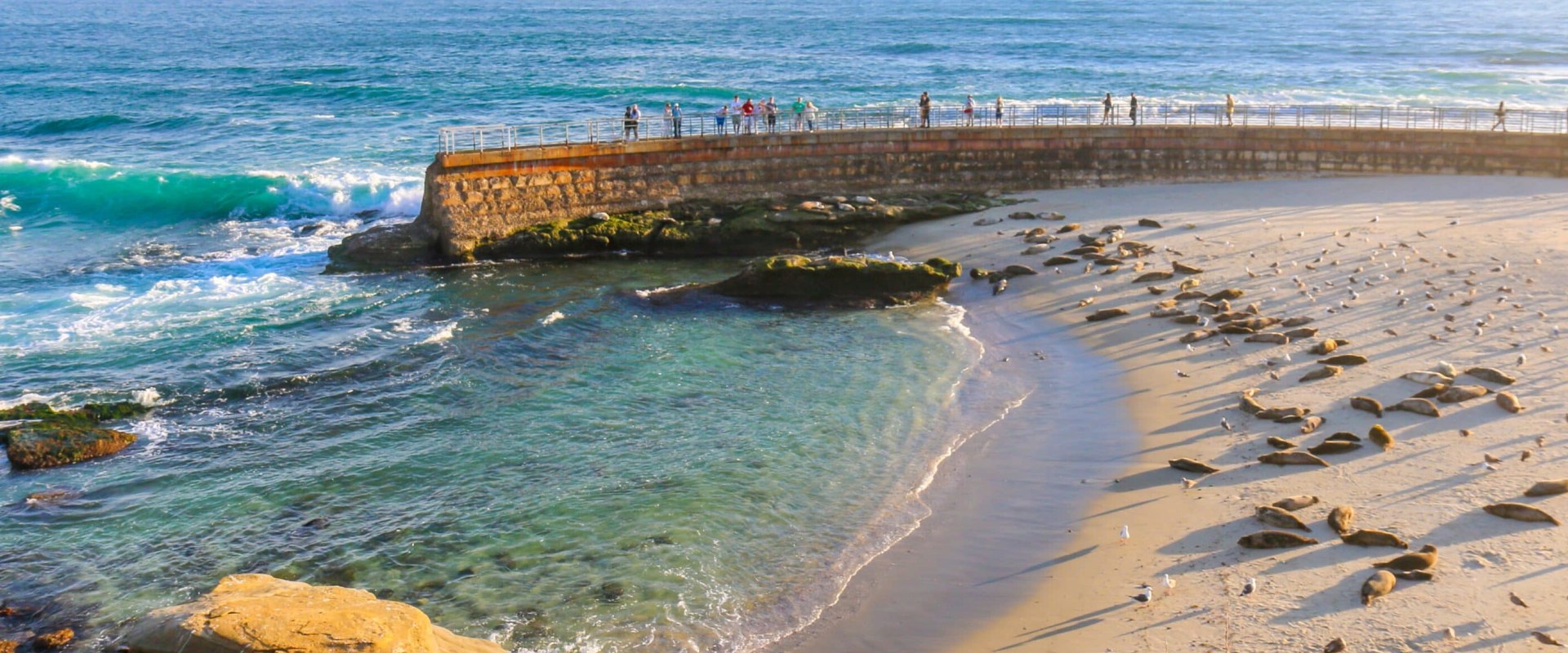 Exploring Local Amenities and Attractions in La Jolla Neighborhoods