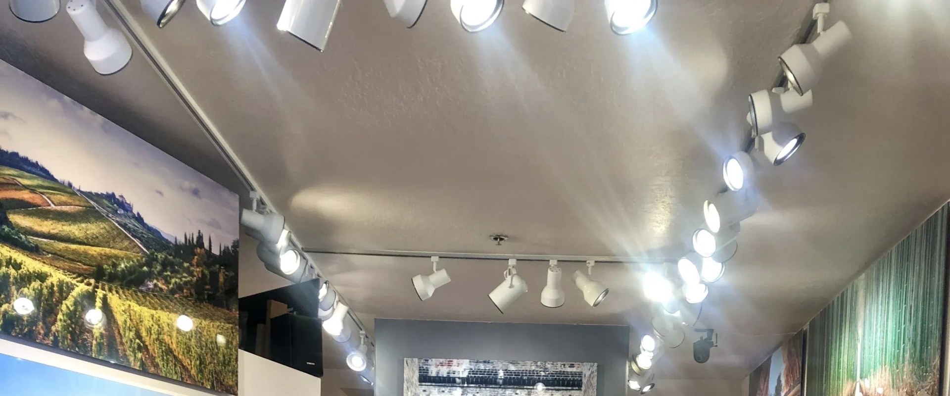 Exciting Gallery Openings in La Jolla