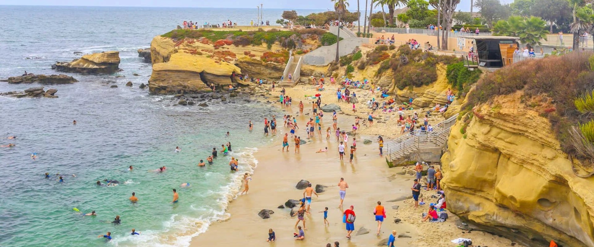 Guide to La Jolla Beaches: Hidden Coves and Family Shores