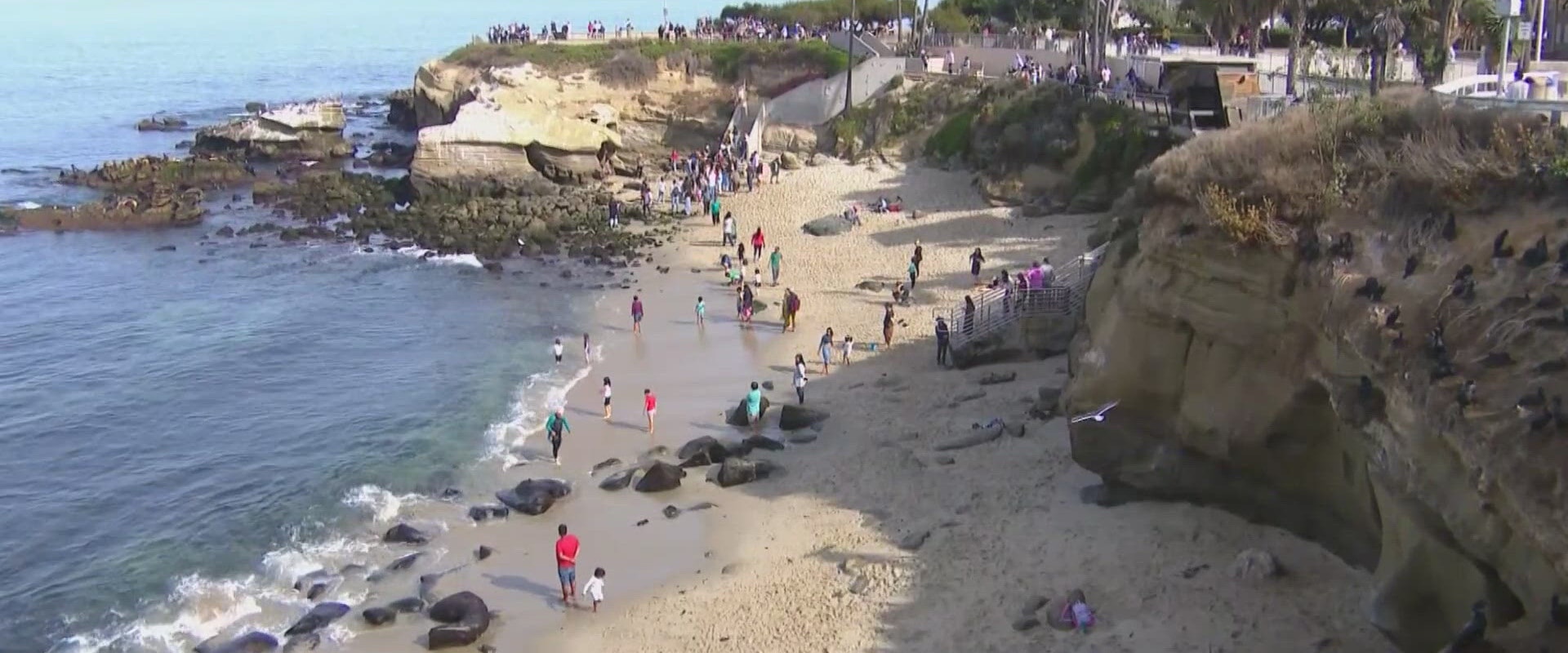 Essential Voter Registration Information for La Jolla Residents