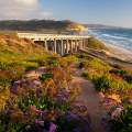 Understanding Long-term Climate Changes in La Jolla