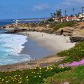 La Jolla Cove: A Complete Visitor's Guide to San Diego's Coastal Jewel