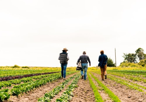 The Influence of Climate on Local Agriculture in La Jolla
