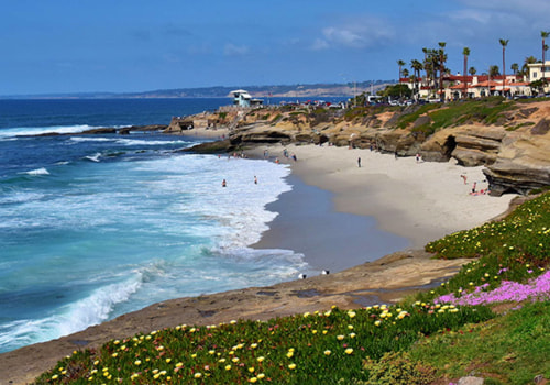 La Jolla Cove: A Complete Visitor's Guide to San Diego's Coastal Jewel