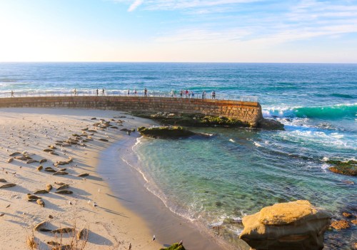 Exploring Local Amenities and Attractions in La Jolla Neighborhoods